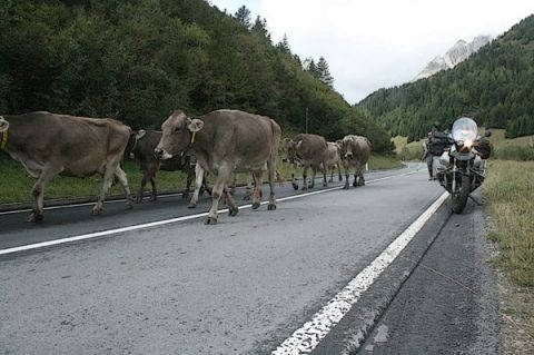 Nufenenpass : Valais - Ticino