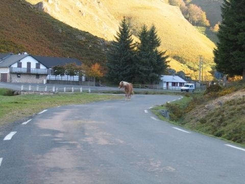d18--col-d-iraty-