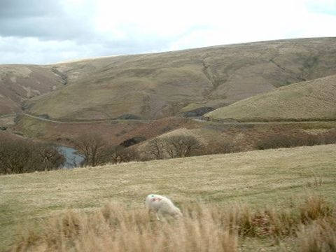 a483--llandovery--