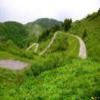 Motorritten monte-zoncolan--sp123- photo
