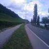 Motorritten 49--mosel-valley- photo