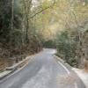 Motorroute therisiano-gorge--theriso- photo