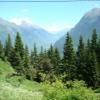 Motorritten d902--col-du- photo