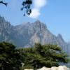Motorritten d268--col-de- photo