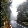 Motorritten grafton-rd--hernani-nymboida- photo