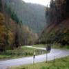 Motorroute b48--annweiler-- photo