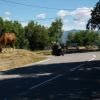 Motorcycle Road d2204--breil-sur-roya-- photo