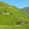 Motorritten d618--col-de- photo