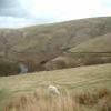 Motorritten a483--llandovery-- photo