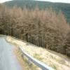 Motorroute a483--llandovery-- photo