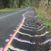 Motorritten lismore--nimbin- photo