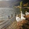 Motorritten kastoria-panoramic-road- photo