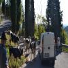 Motorroute sacrario-del-monte-grappa- photo