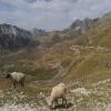 Motorroute durmitor- photo