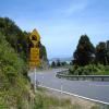 Motorritten coromandel-circuit-nz_ttc-3-- photo