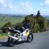 Motorroute westgate-to-mangawhai-heads- photo