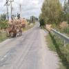 Motorritten babadag--murighiol-- photo