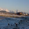 Motorroute alaska--tour-from- photo