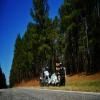 Motorroute sumter-national-forest-2- photo