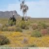 Motorritten breede-river-to-sutherland- photo