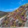 Motorritten breede-river-to-sutherland- photo