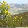 Motorritten swartberg-pass- photo