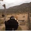 Motorroute the-baviaanskloof- photo