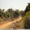 Motorroute backroad-from-bulawayo-to- photo