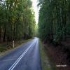 Motorroute 102-to-pobierowo- photo