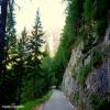 Motorritten mangrt-pass--strmec- photo