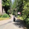 Motorroute skaggs-and-hwy-1- photo
