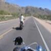 Motorroute mount-lemmon-highway-- photo