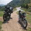 Motorritten sibiu--paltinis- photo