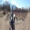 Motorroute pie-andino--los- photo